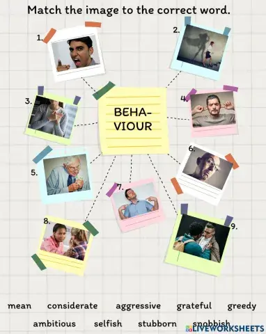 Behaviour vocabulary