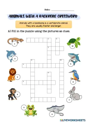 Animals with a backbone