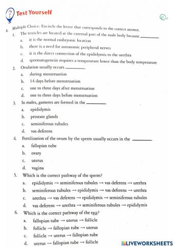 Reproductive System (Test Yourself)
