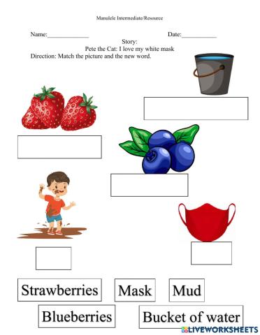 Match word and picture