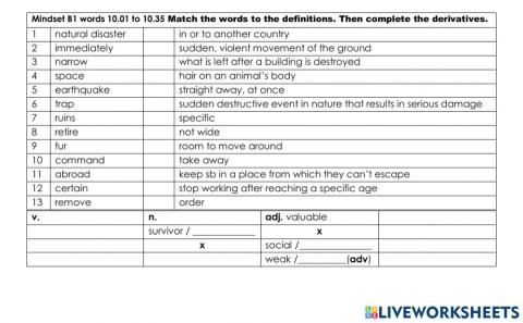 Mindset B1 words 10.01 to 10.35