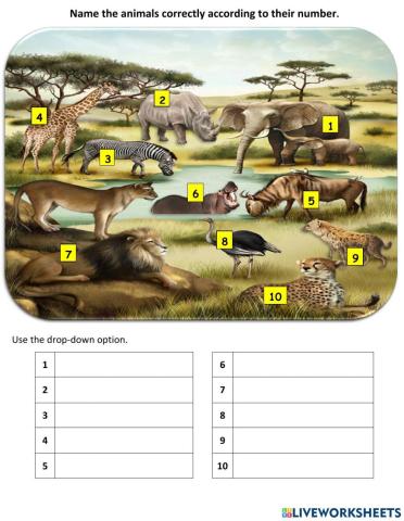 Savanna Animals Worksheet
