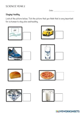 What we need to stay healthy