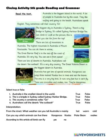 Reading Comprehension