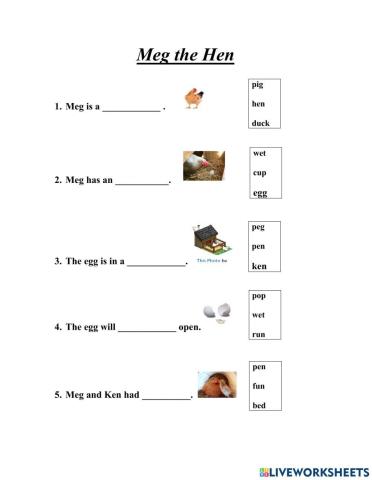 Meg the Hen Comprehension
