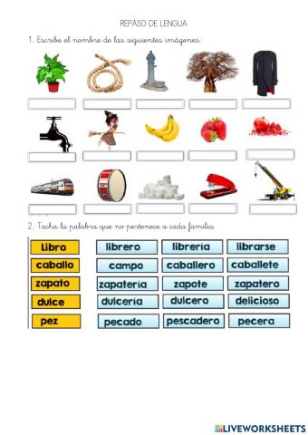 Repaso lengua