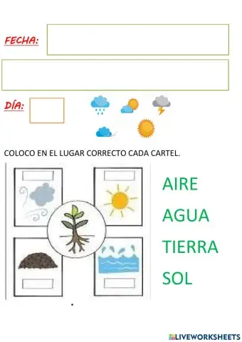 Planta