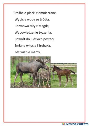 Plan wydarzeń
