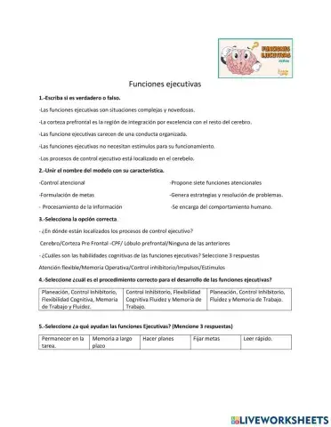 Las funciones ejecutivas