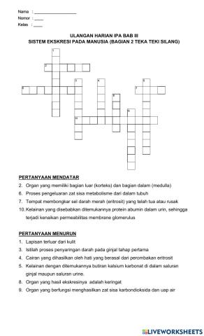 Teka Teki Silang Sistem Ekskresi pada Manusia