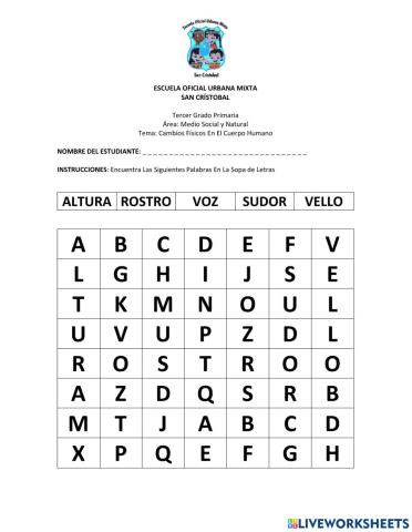 Cambios Físicos En El Cuerpo Humano