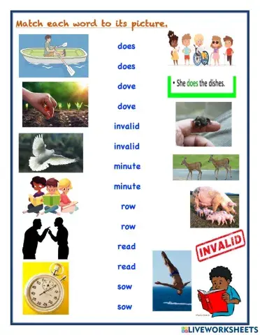 Homographs