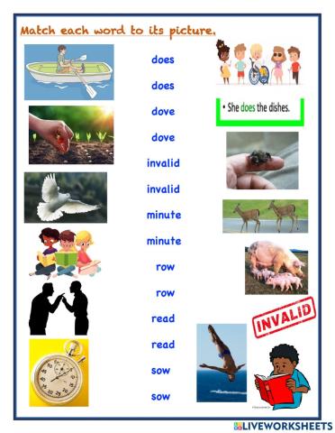 Homographs