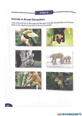 Animals in BRUNEI