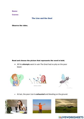 The lion and the gnat