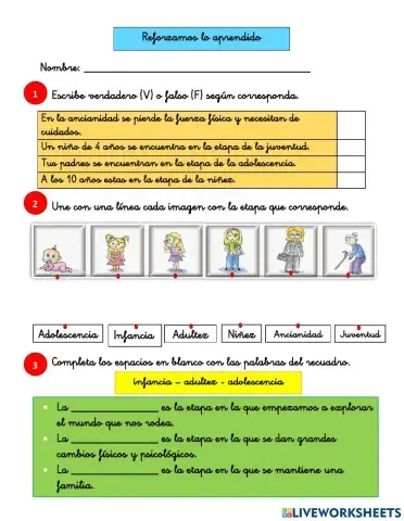 Las etapas del desarrollo humano