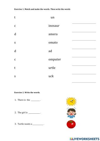 Words and letters Dd,CC,Ss,Tt