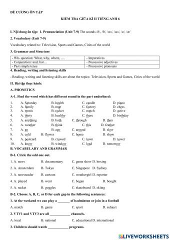 Đề cương E6 kì 2 TQ