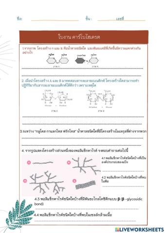 คาร์โบไฮเดรต