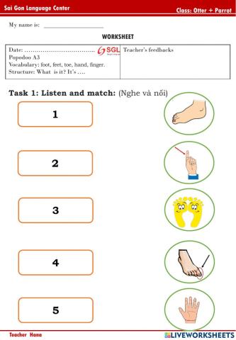 PPD A3 - Otter, Parrot