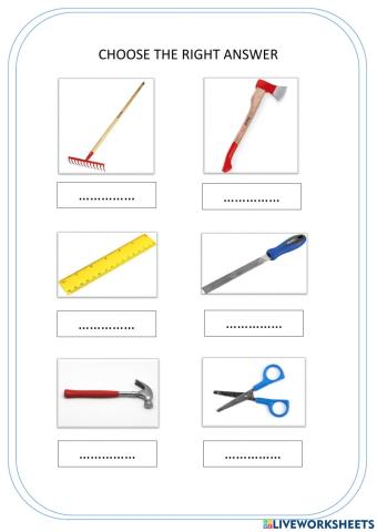 Choose the right answer