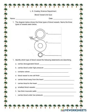 Blood Vessels Unit Quiz