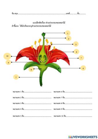 ส่วนประกอบของดอกไม้