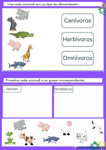 Clasificación de los animales.