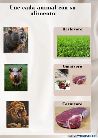 ¿Qué  come cada uno?