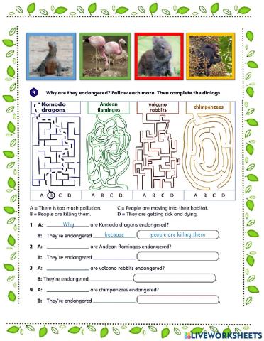 Weird and Wild Animals