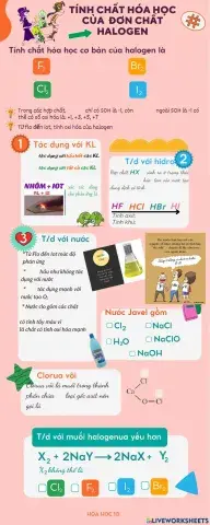 Đơn chất halogen