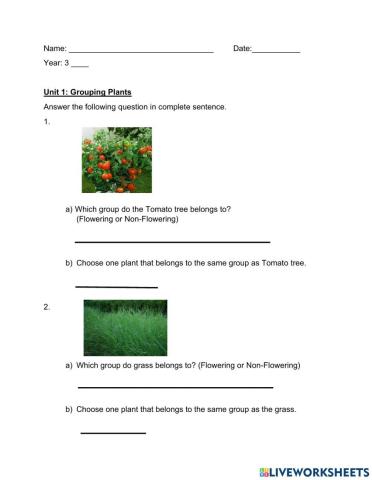 Grouping plants