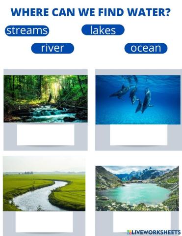 Where can we find water?