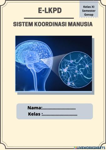 E-LKPD sistem saraf