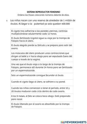 Ordenar frases aparato reproductor femenino