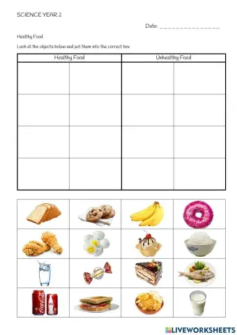 Healthy and Unhealthy Food