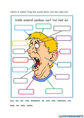 Body parts - face and body