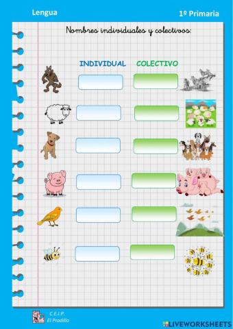 Nombres individuales y colectivos