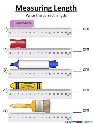 Measurement (Length)