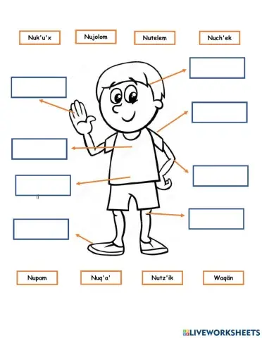 Partes del cuerpo - Kaqchikel