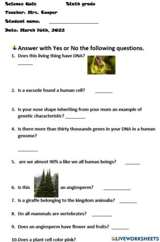 Science quiz