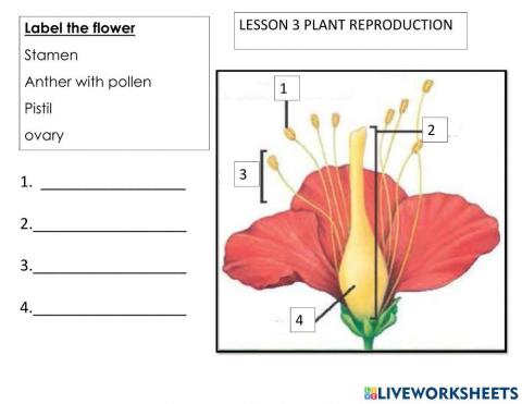 Plant reproduction labelling