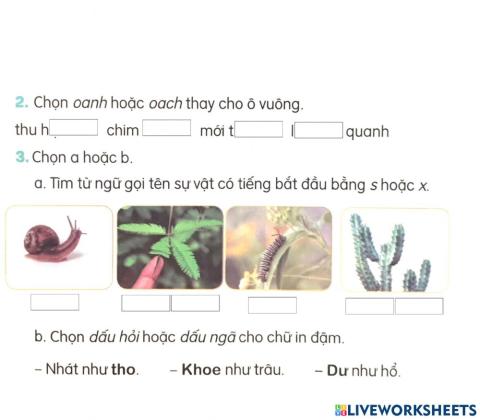 Nghe viết: Tạm biệt cánh cam