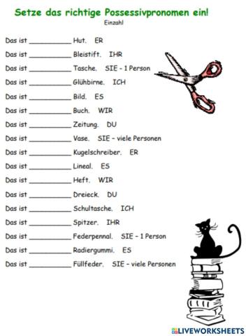 Possessivpronomen-2