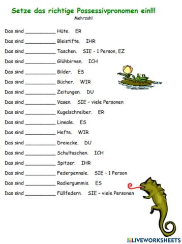 Possessivpronomen-3