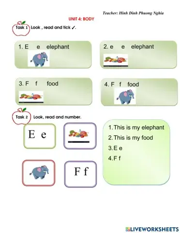 homework  unit 4 lesson 2 body