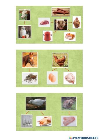 Tiere auf dem Bauernhof