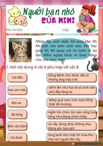 Quan sát con vật