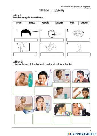 Kebersihan Anggota Badan dan Dandanan Diri
