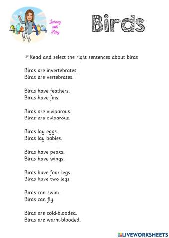 Birds